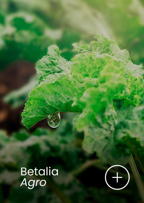 betalia-agro